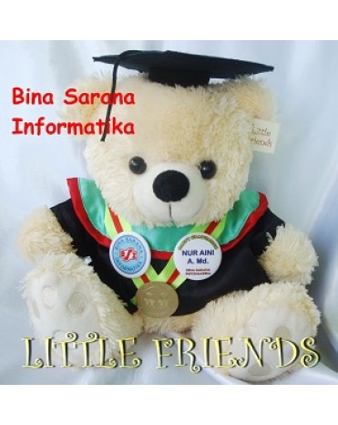 Boneka Wisuda Bina Sarana Informatika (30 cm)